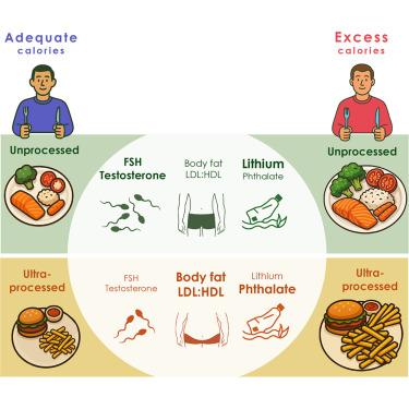 Graphic summary of the study: ultra-processed foods versus unprocessed foods.