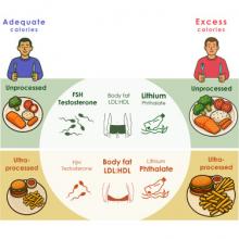 Graphic summary of the study: ultra-processed foods versus unprocessed foods.
